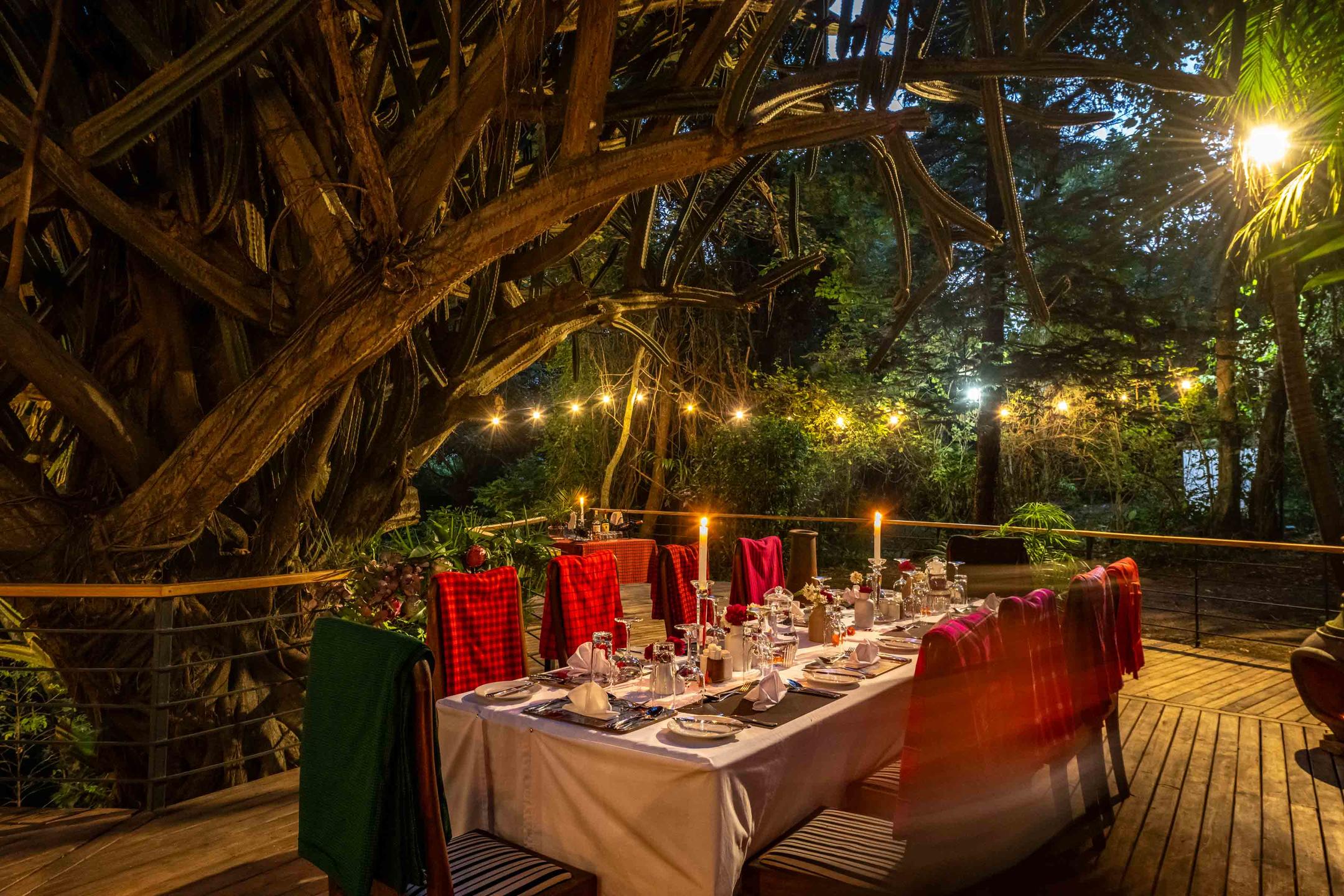 Mount Meru Game Lodge